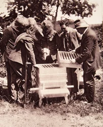 Instrucción en apicultura bajo el esquema de Lord Eglinton: una clase enmascarada en las colmenas, de The Illustrated War News, 5 de julio de 1916